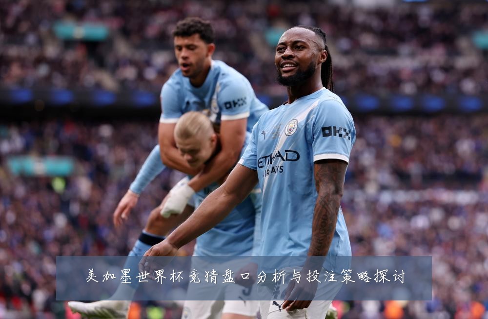 美加墨世界杯竞猜盘口分析与投注策略探讨